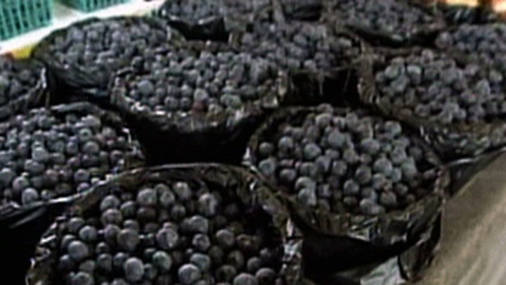 Blueberries cut belly fat