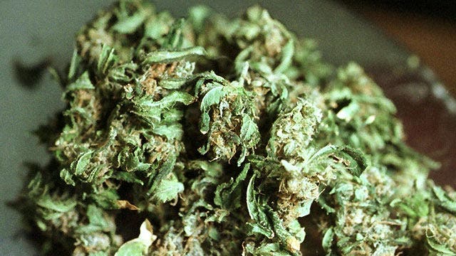 Growing concerns over safety of edible marijuana