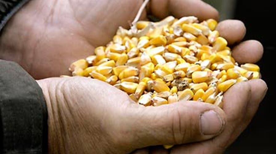 Ethanol Debate