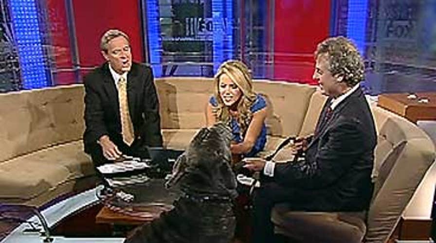 FOX News Flash: FOX & Friends Edition