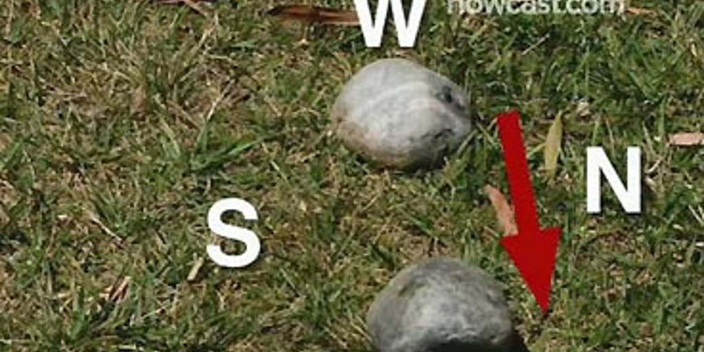 How to Tell Directions Without a Compass Fox News Video