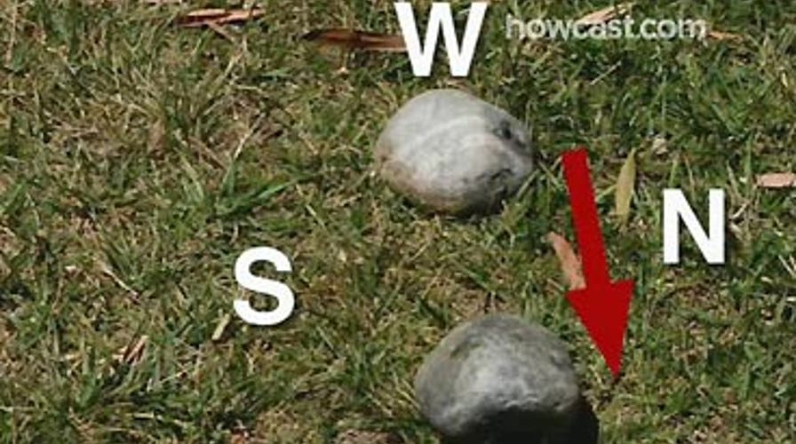 How to Tell Directions Without a Compass