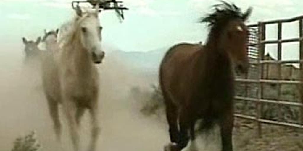 Horse Whisperers Fox News Video