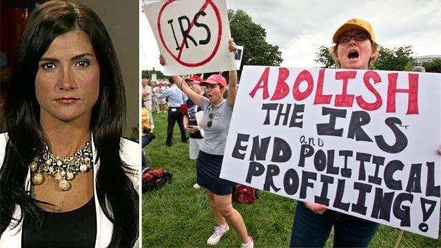 Loesch: IRS sparked 'second coming' of Tea Party