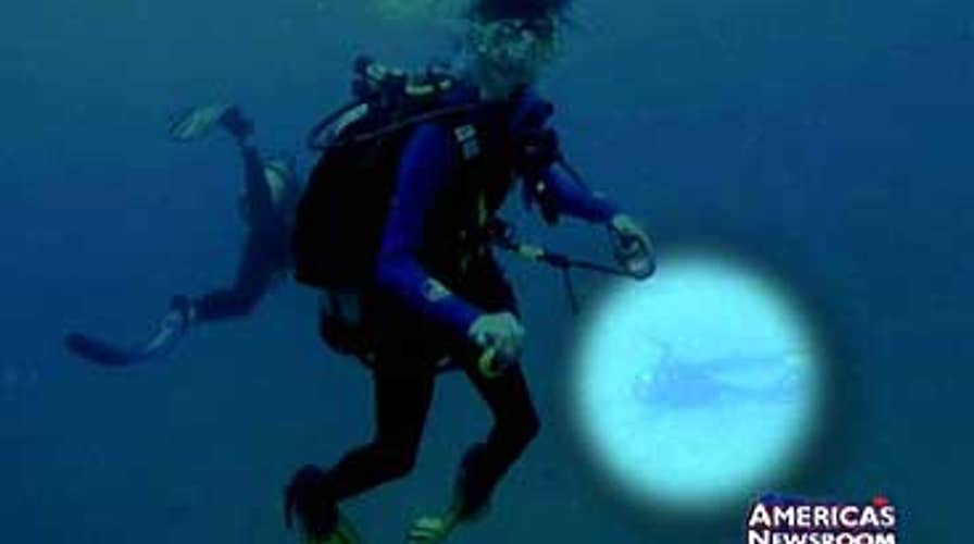 A Father's Heartbreak