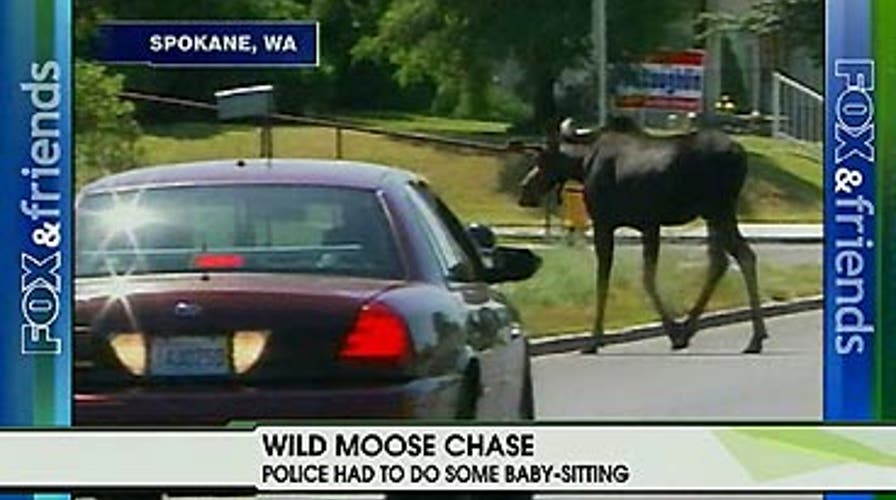 FOX News Flash: FOX & Friends Edition