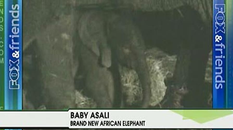 FOX News Flash: FOX & Friends Edition