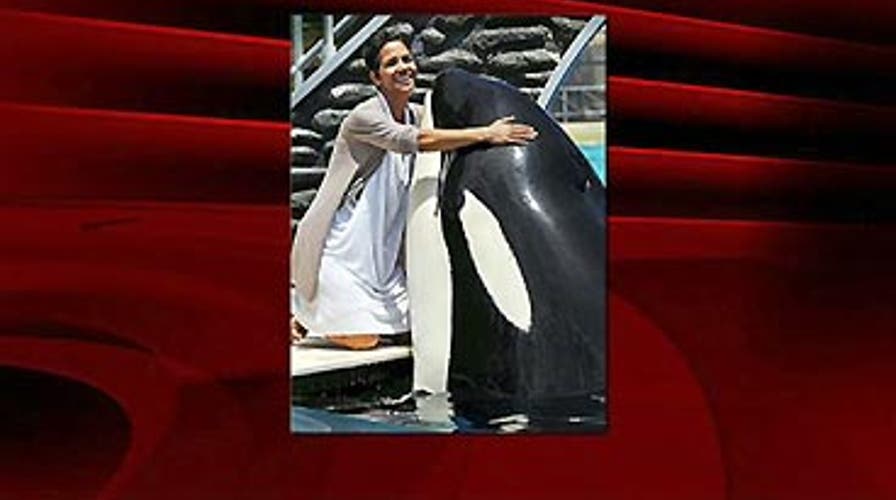 Pinheads & Patriots: 7/8