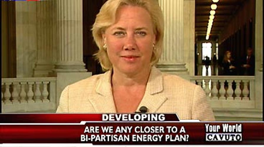 Bi-Partisan Energy Plan?