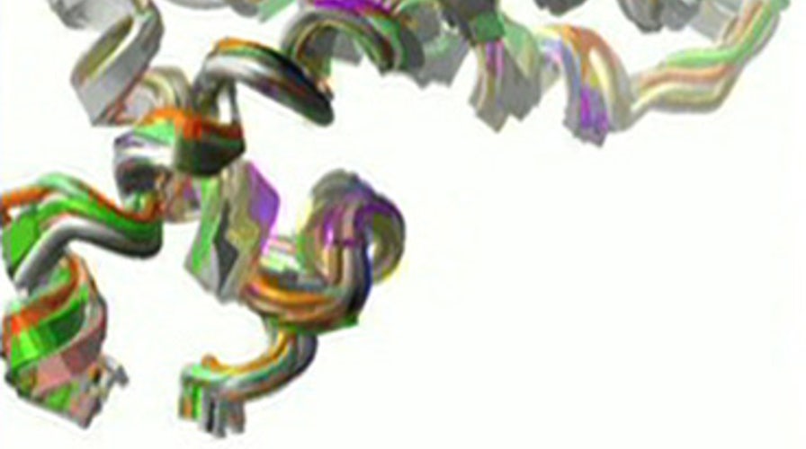 Memory Enhancing Protein?