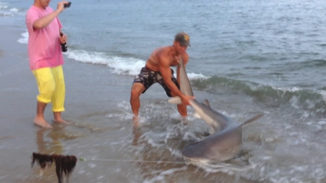 Fisherman Wrestles Shark On Mass. Beach