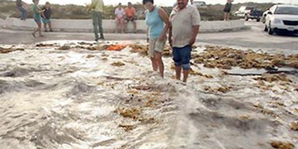 Dangerous Dolly Fox News Video