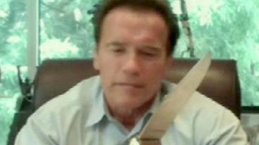 Don't Mess With Arnold