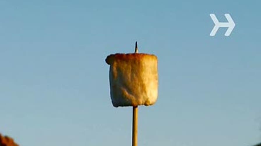 Roast a Marshmallow
