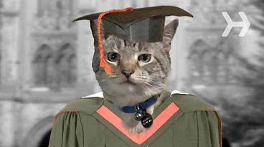 How to Get a College Savings Plan Started