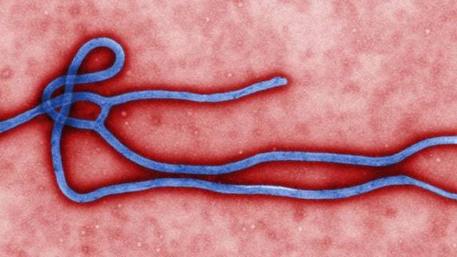 What can be done to prevent spread of Ebola in US?