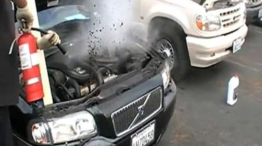 Don't Watch, Car Lovers