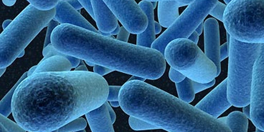 Dirty Docs Part 2 Fox News Video