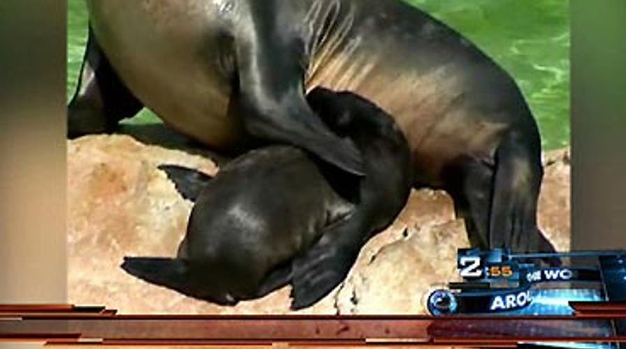 Around the World: 8/7