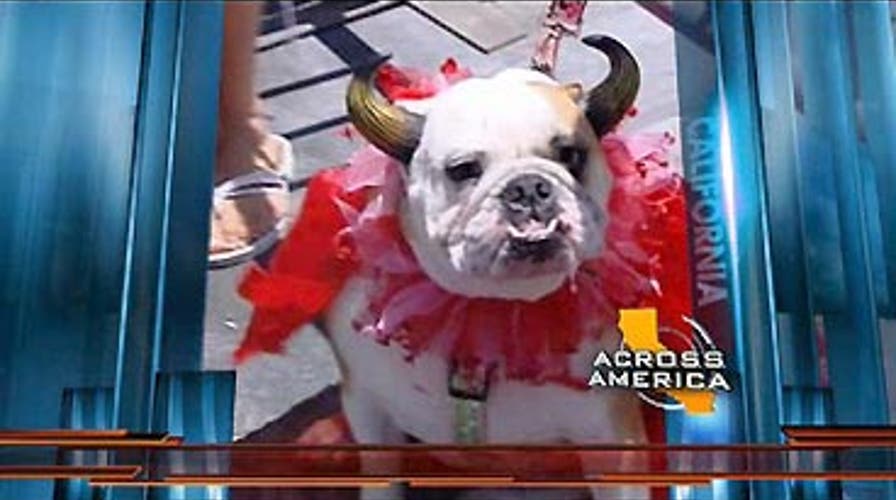 Across America: 8/10