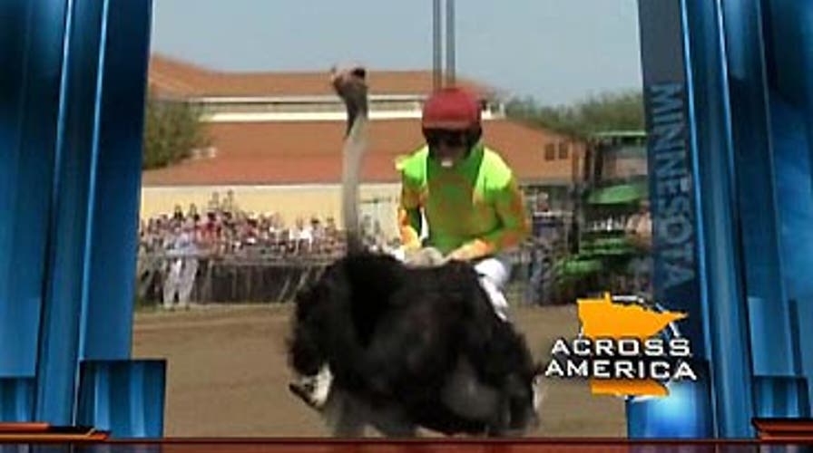 Across America: 8/11