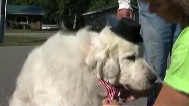 Grapevine: Dog elected mayor of Minnesota town