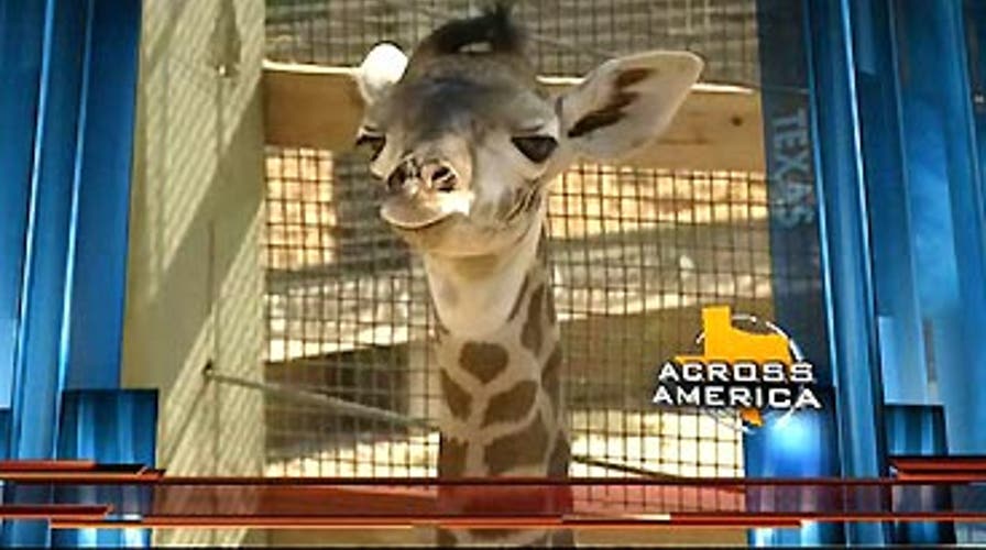 Across America: 8/14