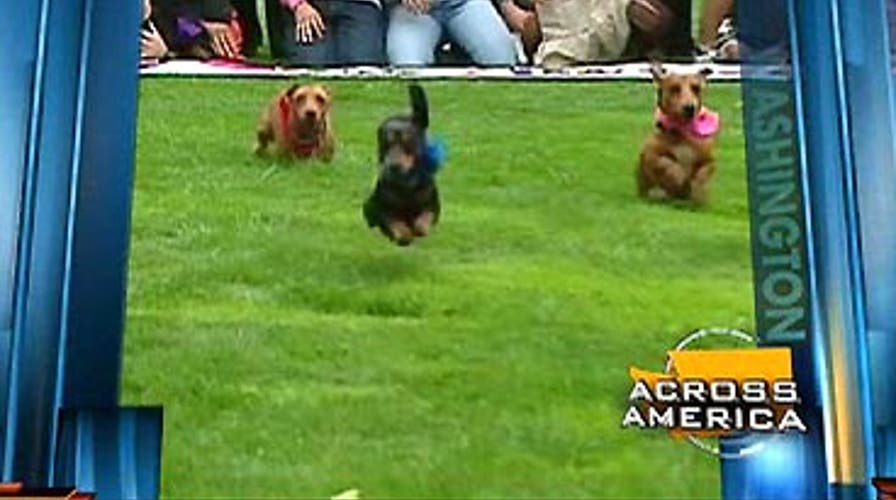 Across America: 8/17