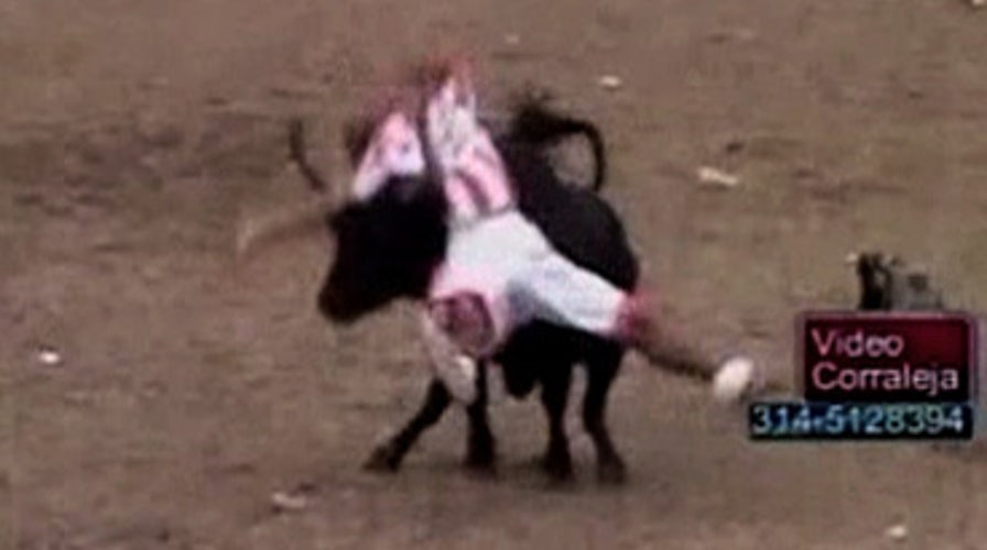 Deadly Bullfight