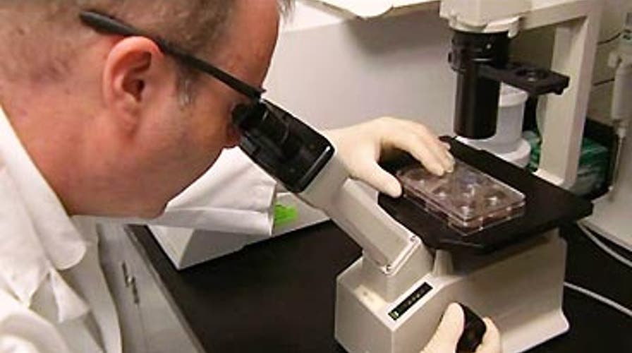 Stem Cells to Fight Disease