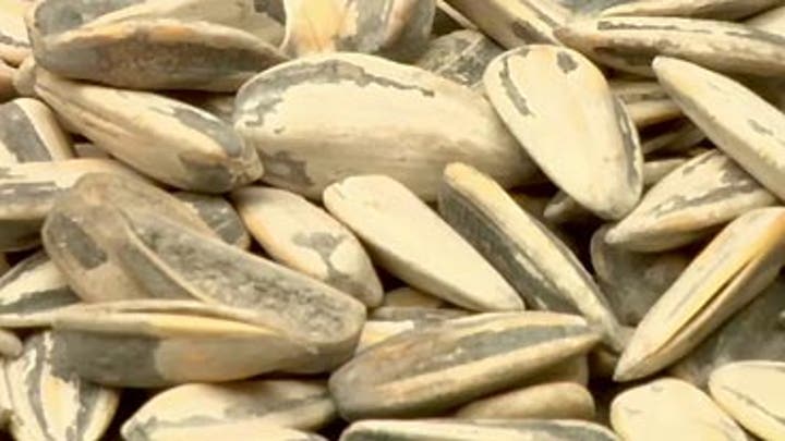 Eat unshelled sunflower seeds