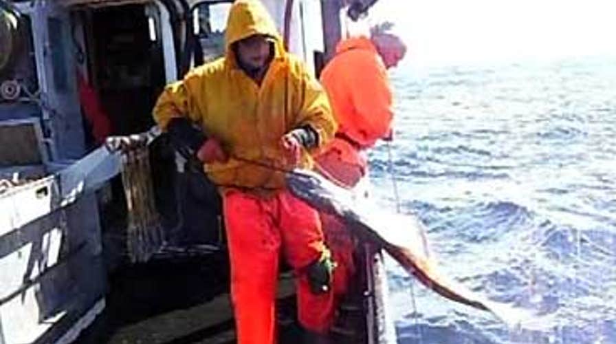 Dangerous Environment