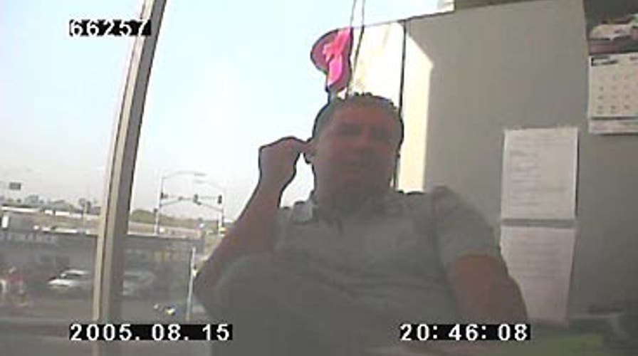 The Cat That Came Back