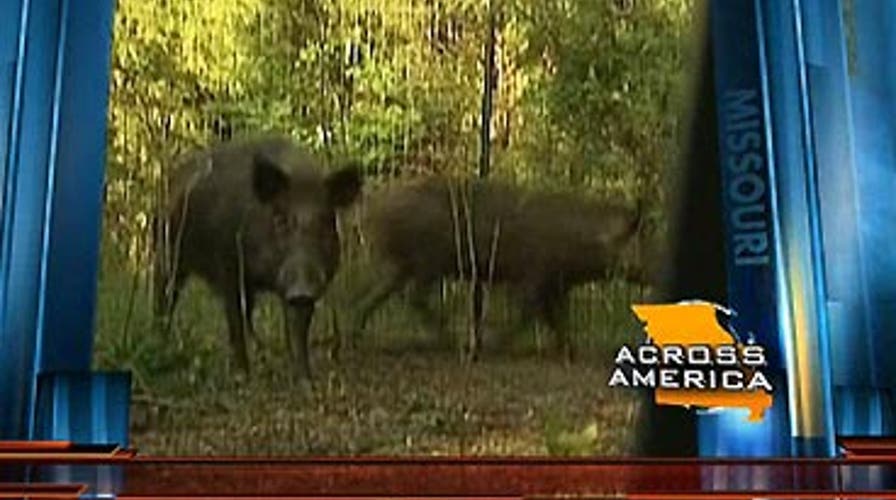 Across America: 9/17