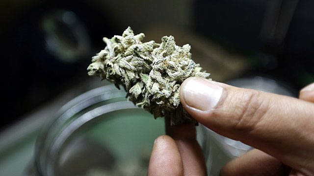 Florida AG on state referendum on medical marijuana