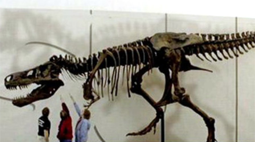 Sore Throat Kills T-Rex