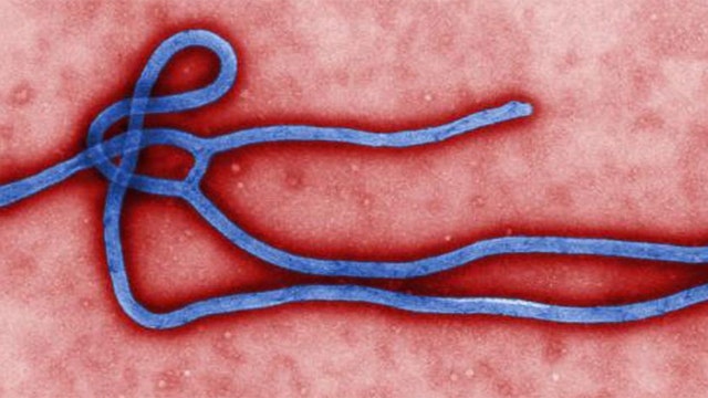 Ebola spreads across the media