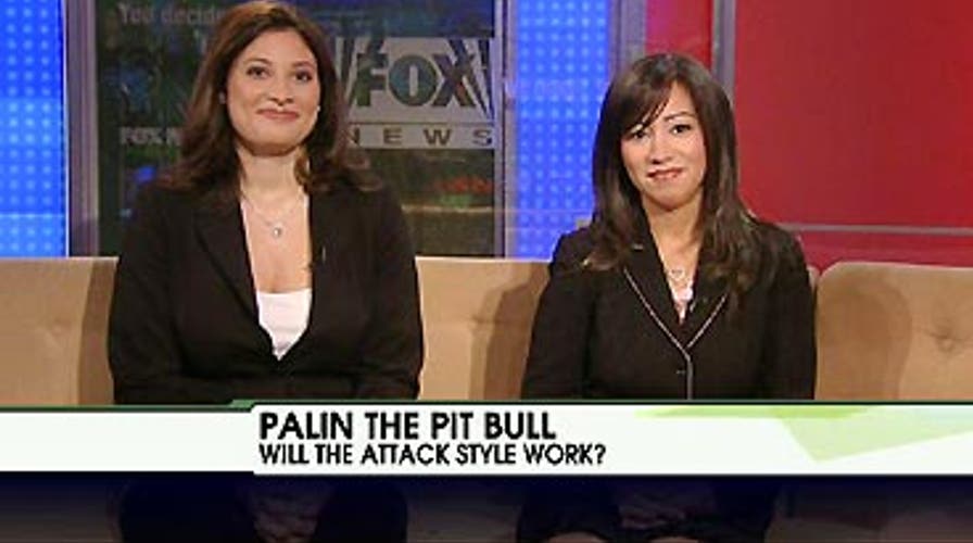 Palin on the Attack