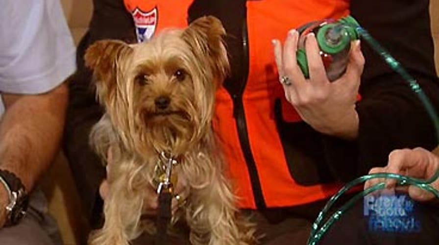 After the Show Show: 10/16