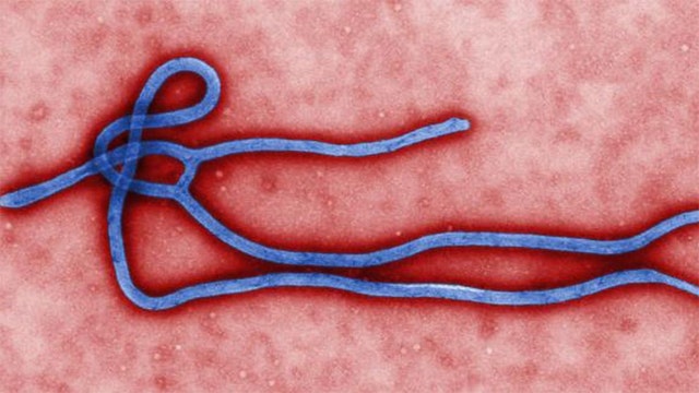 Bias Bash: Liberal press blames GOP for Ebola 'fear'