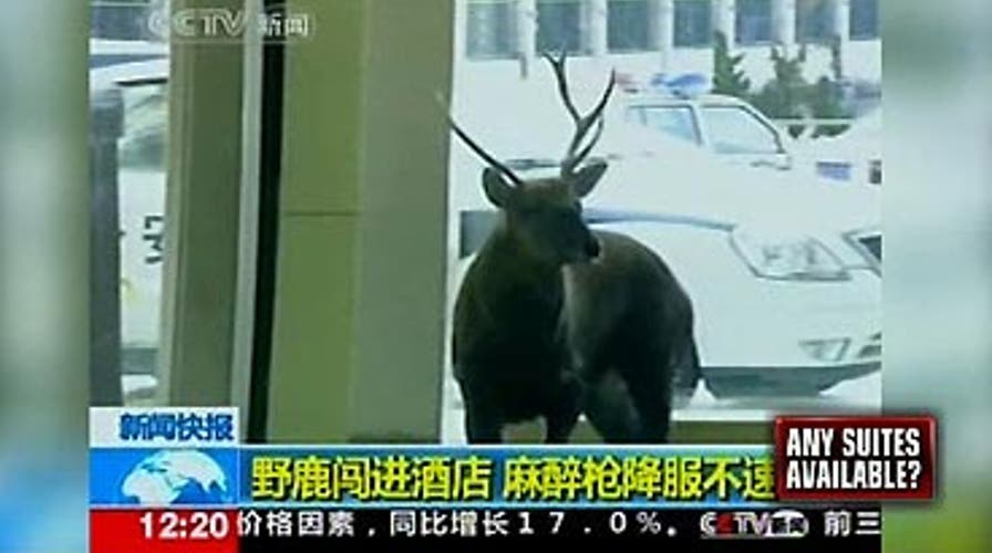 Around the World: 10/22