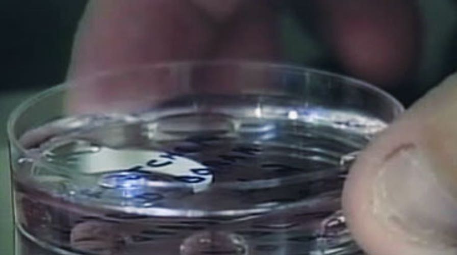 Sperm Bank Business Booming