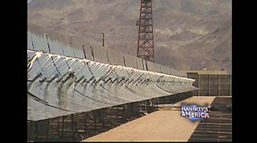 'We're Being Scammed'