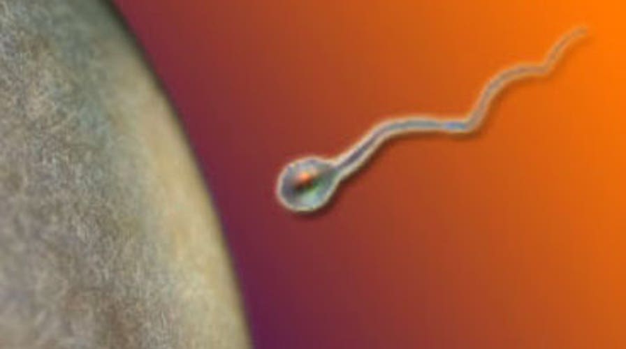 Preserving Your Fertility