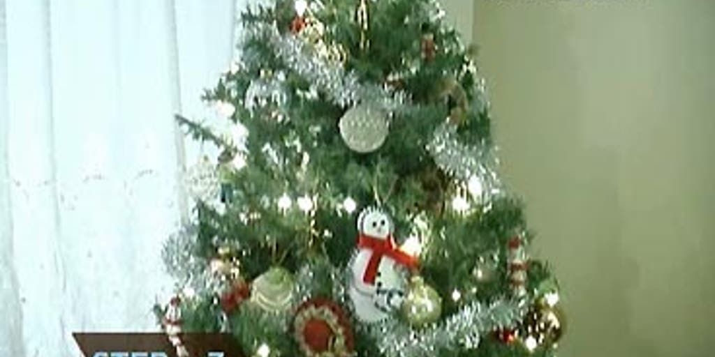 Choose a Fake Christmas Tree Fox News Video