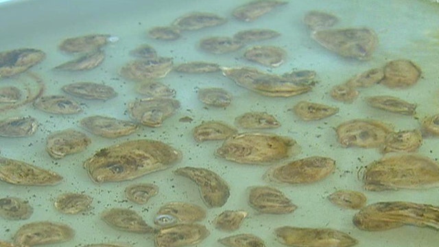 High-tech science helps restore oyster population