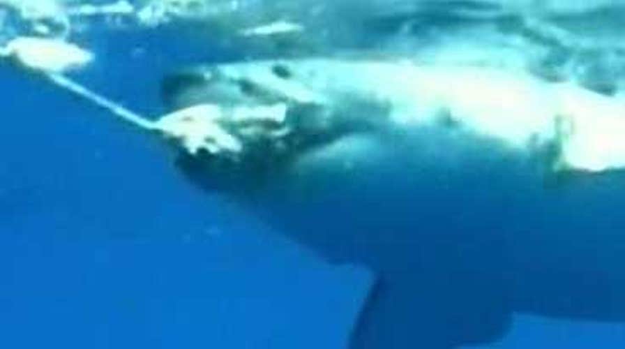 Too Close for Comfort