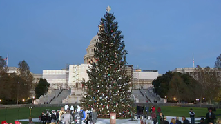 WATCH LIVE: US Capitol Christmas Tree lighting ceremony  - Fox News