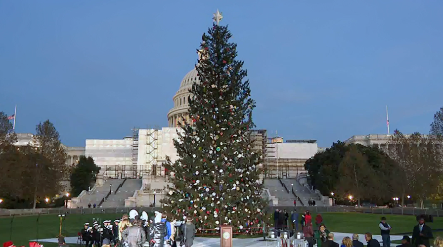 WATCH LIVE: US Capitol Christmas Tree lighting ceremony 