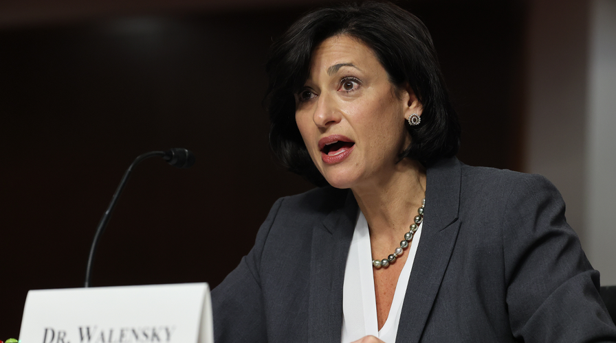 WATCH LIVE: Biden admin health officials testify on federal response to COVID-19